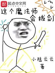 这个魔法师会拔剑封面