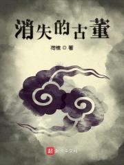 消失的古董封面