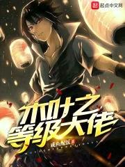 木叶之等级大佬封面
