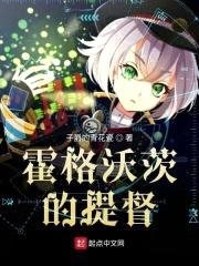 霍格沃茨的提督封面