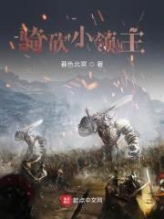 骑砍小领主封面
