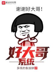 好大哥系统封面