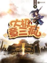 大极章三疯封面