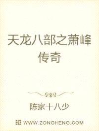 天龙八部之萧峰传奇封面