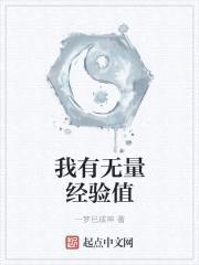 我有无量经验值封面