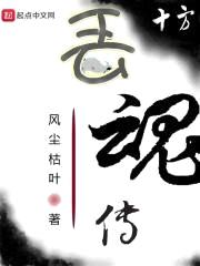 丢魂传封面