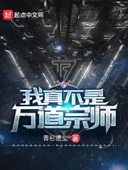 我真不是万道宗师封面