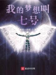 我的梦想叫七号封面