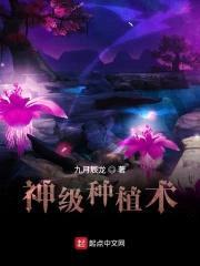 神级种植术封面