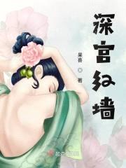 深宫红墙封面