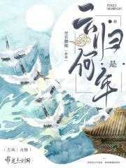 云归是何年封面