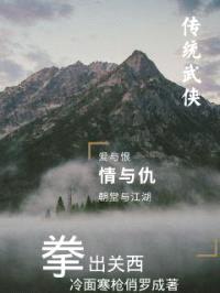 拳出关西封面