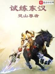 试练东汉封面