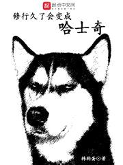 修行久了会变成哈士奇封面