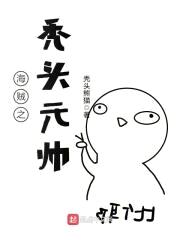 海贼之秃头元帅封面