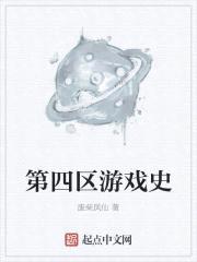 第四区游戏史封面