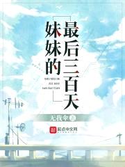 meimei的最后三百天封面
