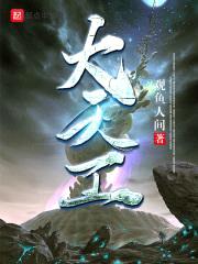 大天工封面