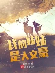 我的meimei是大文豪封面