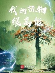 我的植物很高能封面