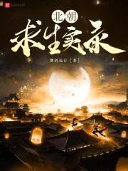 北朝求生实录封面