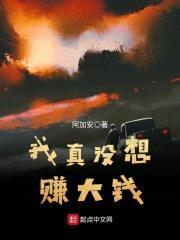 我真没想赚大钱封面