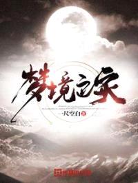 梦境之灾封面