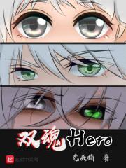 双魂Hero封面