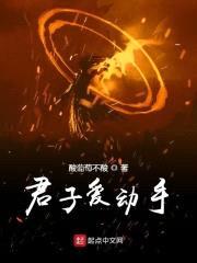 君子爱动手封面