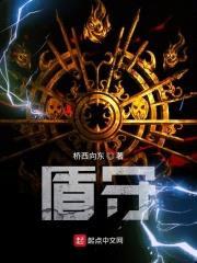 星盾圣守封面