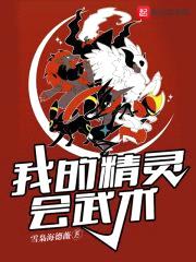 我的精灵会武术封面