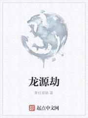 龙源劫封面