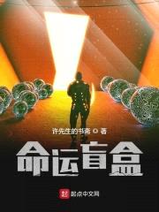 命运盲盒封面