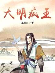 大明疯王封面