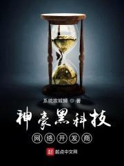 神豪黑科技网络开发商封面