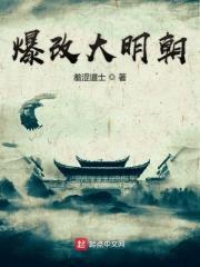爆改大明朝封面
