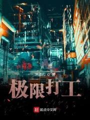 极限打工封面