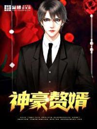 神豪赘婿封面