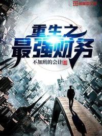 重生之最强财务封面