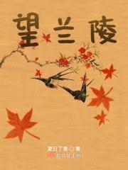 望兰陵封面