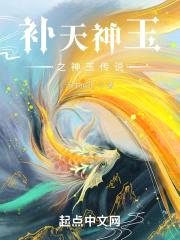 补天神玉之神玉传说封面