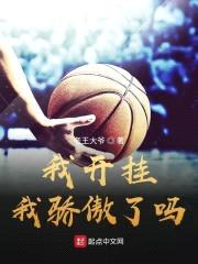 我开挂我骄傲了吗封面