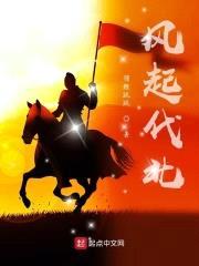 风起代北封面