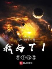 我与TI有个约定封面