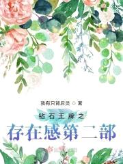 钻石王牌之存在感第二部封面