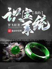 我的识宝系统封面