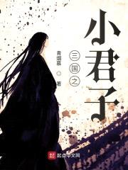 三国之小君子封面