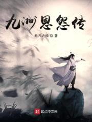 九洲恩怨录封面