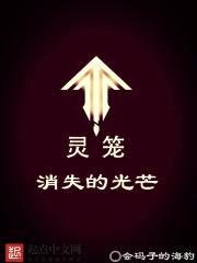 灵笼：消失的光芒封面