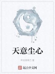 天意尘心封面